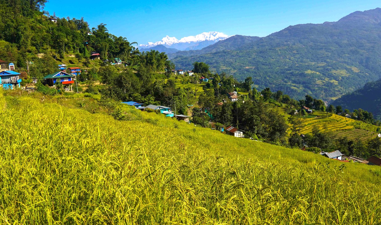 रेडियो मुक्ति