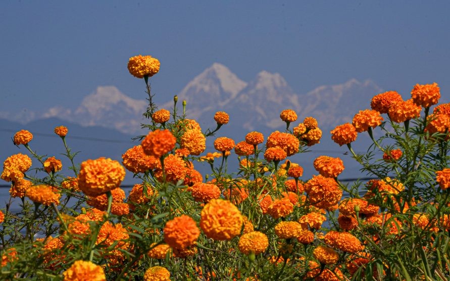 रेडियो मुक्ति